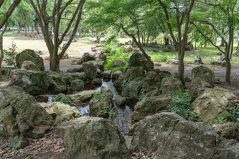 蛇行して池泉へと水が流される