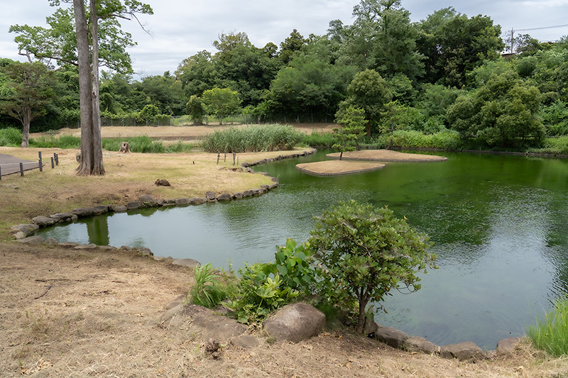 鐘ヶ淵