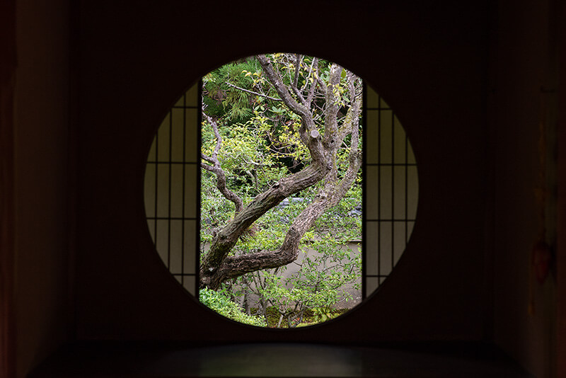 悟りの窓