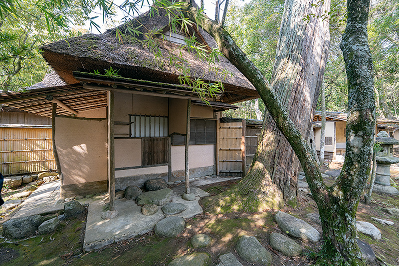 安楽案のにじり口