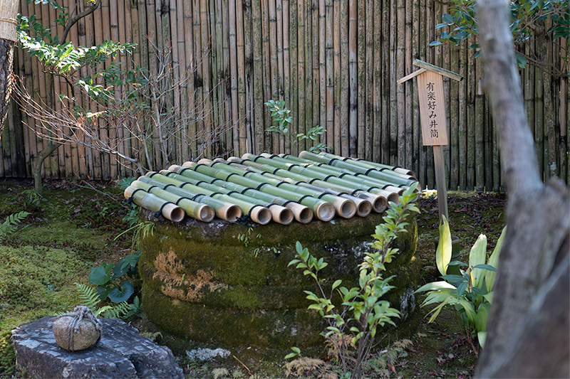 如庵の井筒