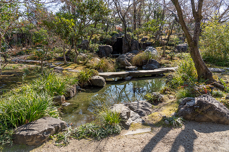 茶花園