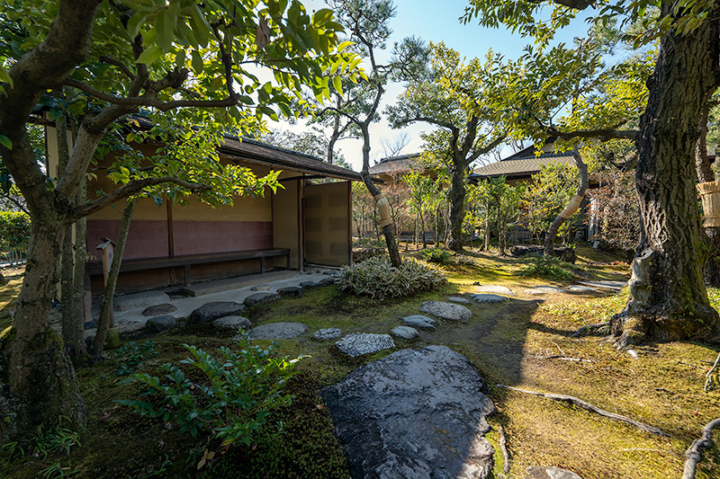 元庵の露地