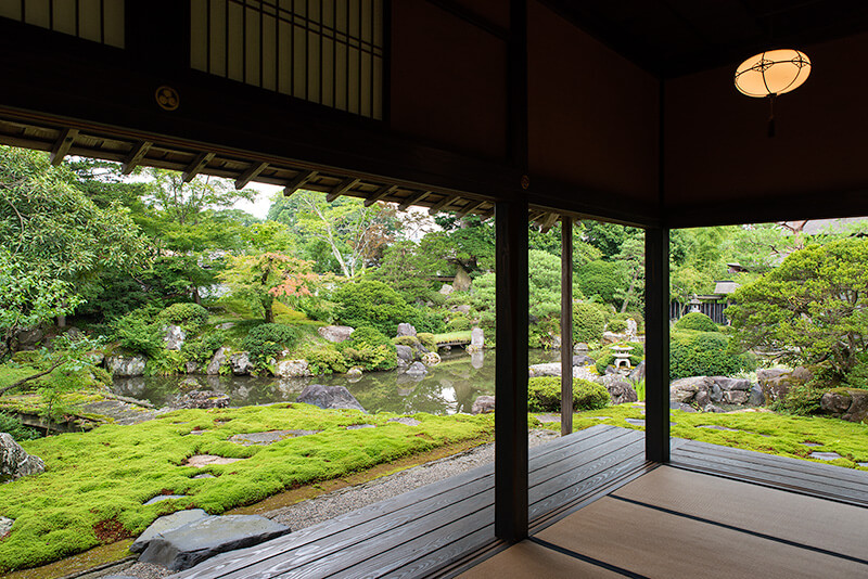 立ち上がった視点からの庭園の眺め
