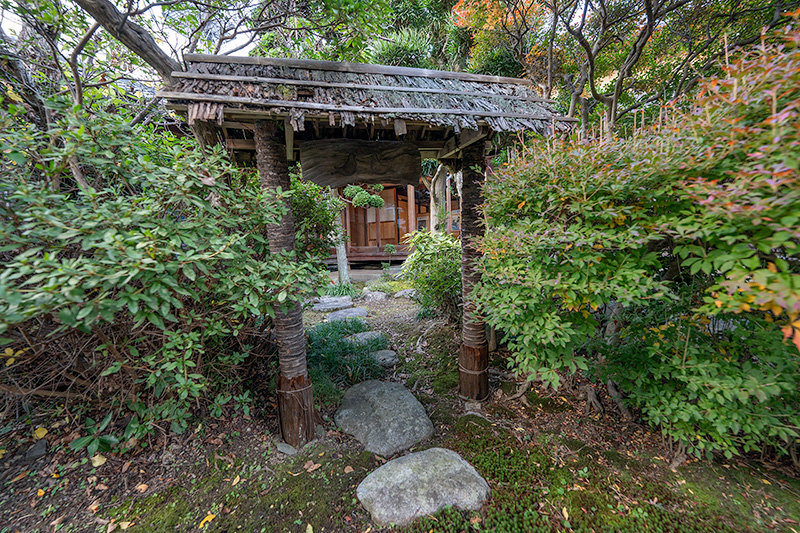 庭園