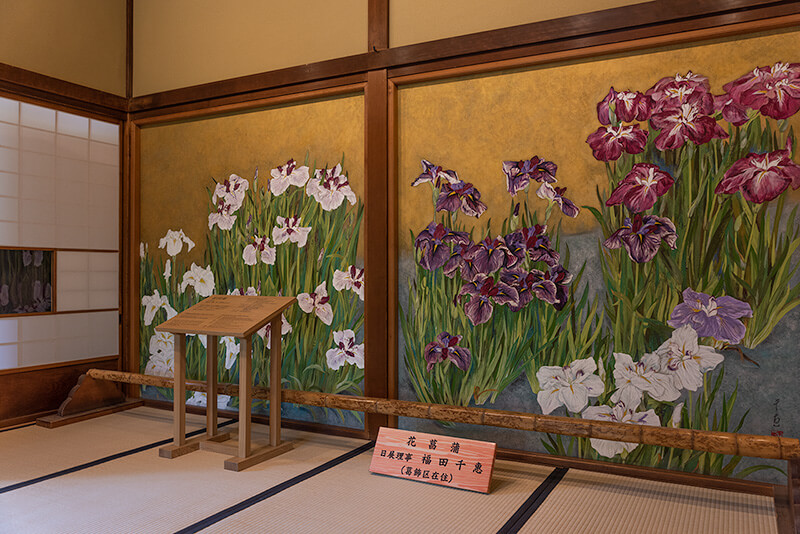 山本亭　花菖蒲