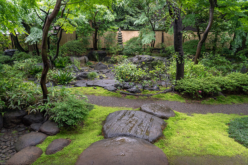苔が活き活き