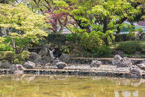 横浜公園 彼我庭園