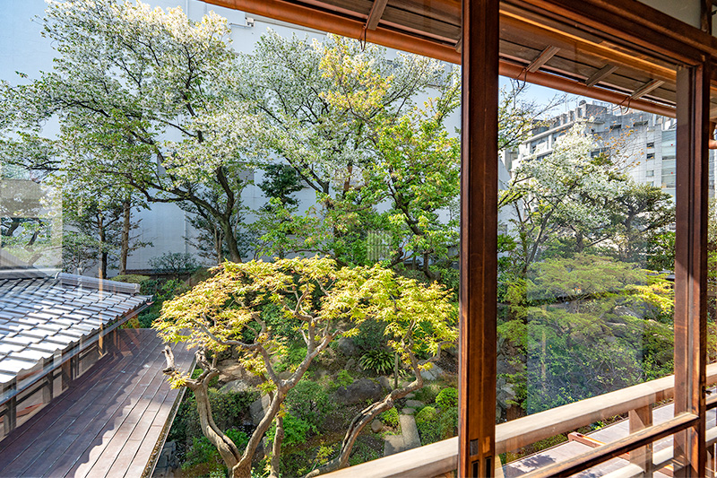 桜