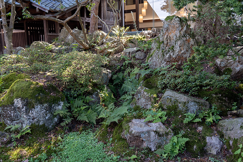 築山