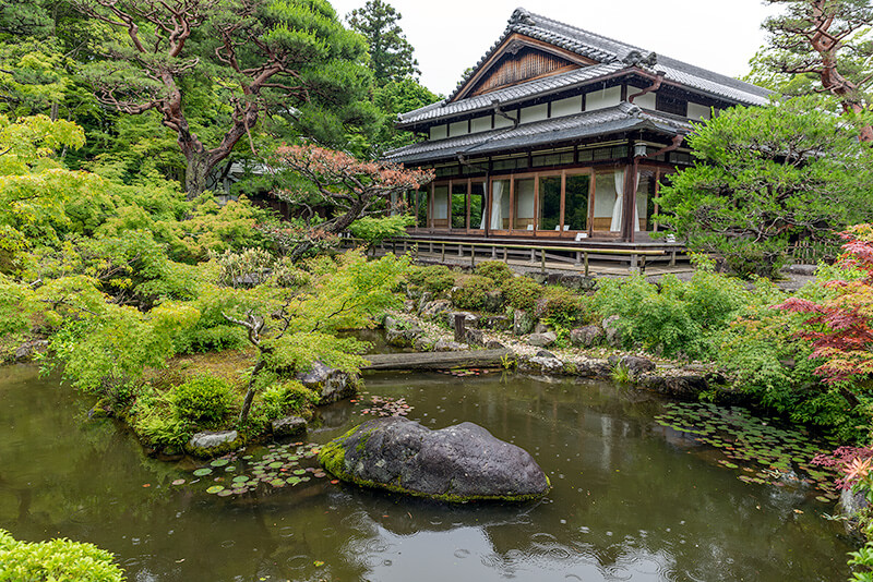 吉城園　池の庭