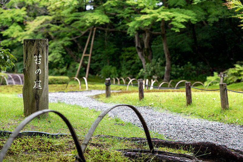 苔の庭