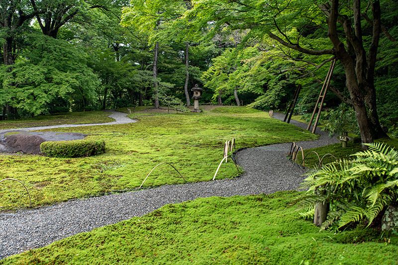 吉城園　苔の庭