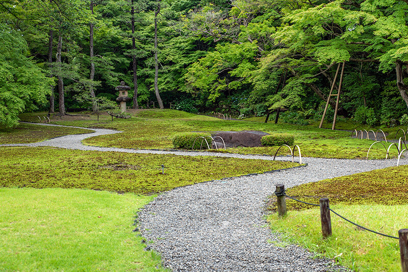 吉城園　苔の庭