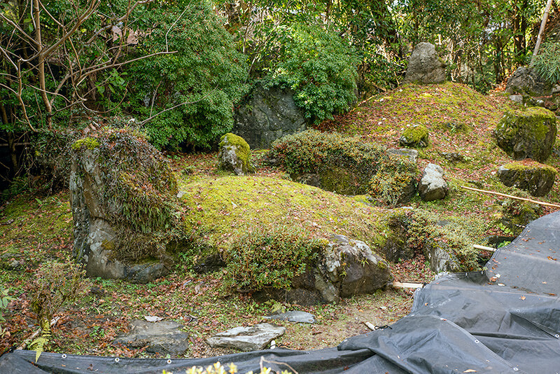 池泉庭園
