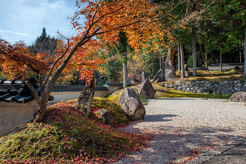 もみじの落ち葉が苔山に彩りを添えている