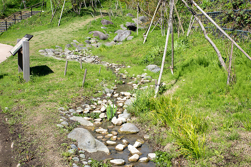 遣水
