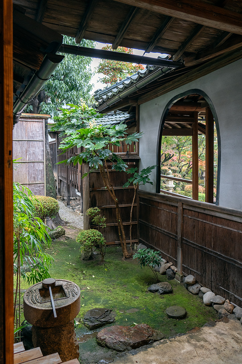 坪庭