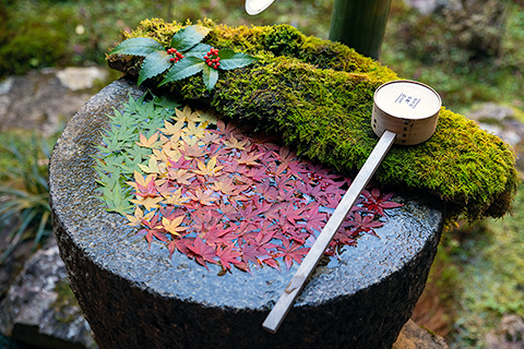 柳谷観音 楊谷寺