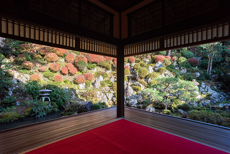 額縁庭園