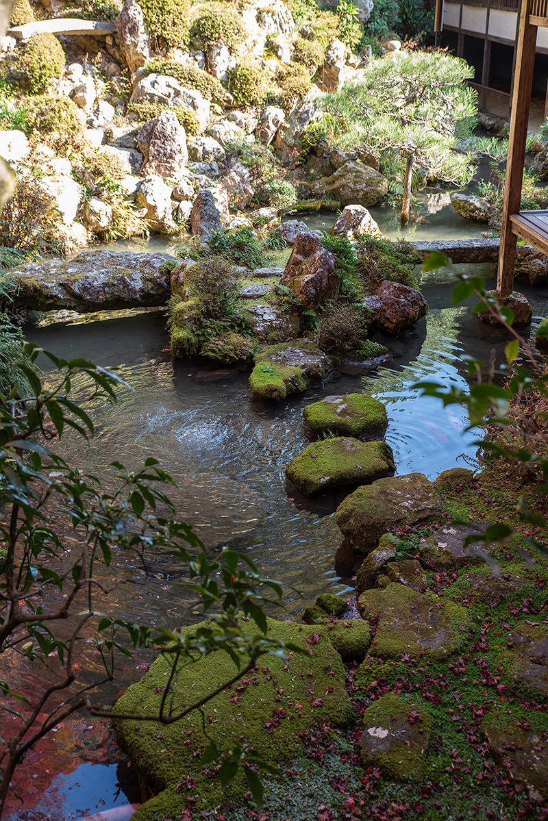 亀島