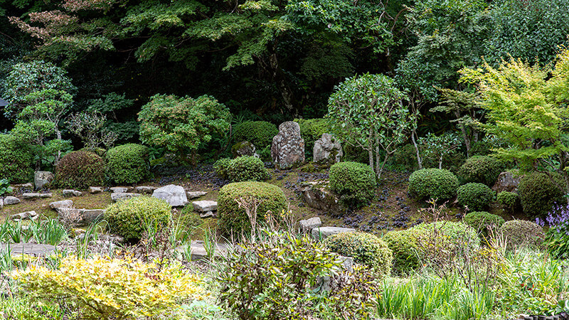 本堂前の池泉庭園