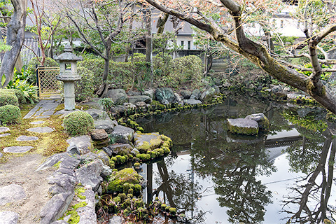 養念寺　烏が池庭園