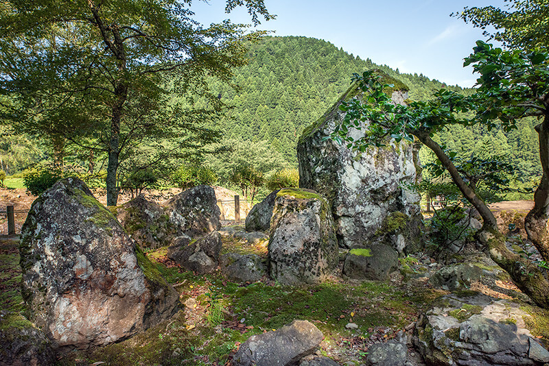 借景