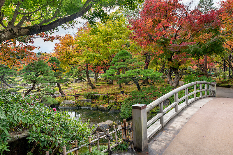 霧に包まれる前の「八雲の庭園」