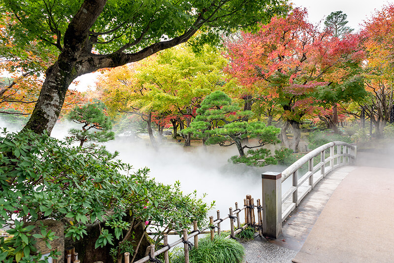 霧に包まれた「八雲の庭園」