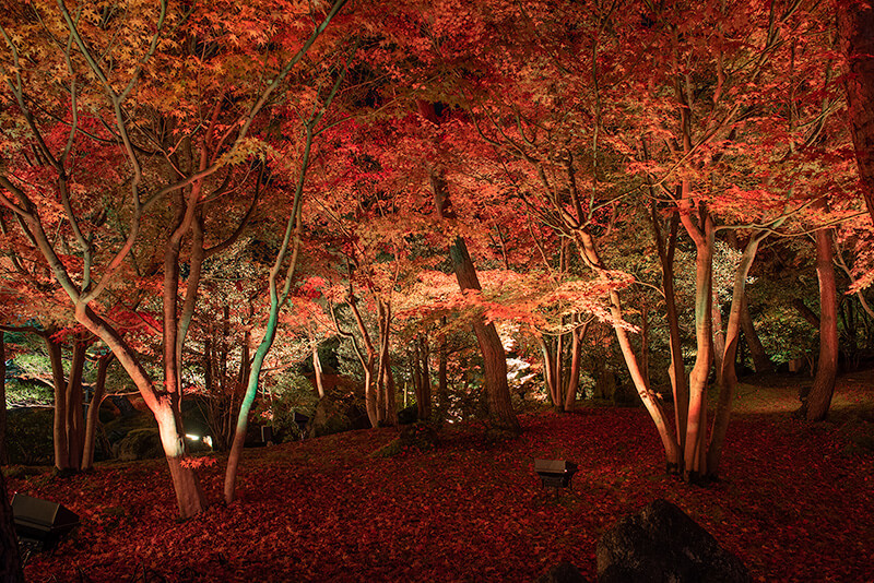 朱色に染まる紅葉山