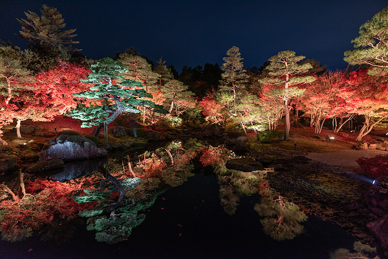赤橋からの紅葉
