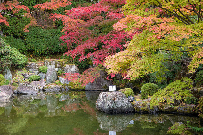 補陀落池の池泉庭園