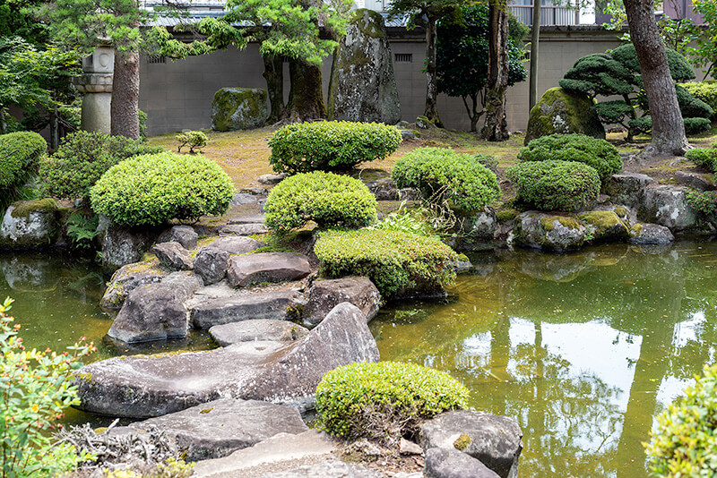 沢飛び石