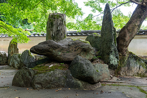 善能寺庭園 （遊仙苑）