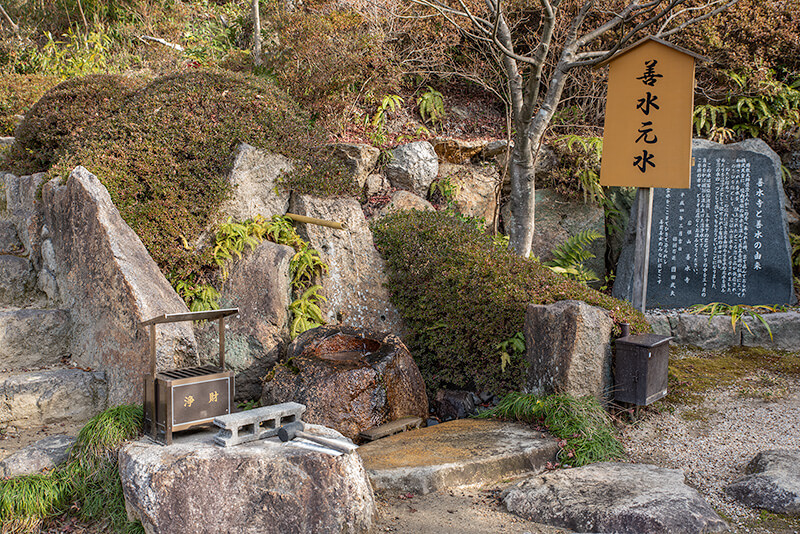 善水元水