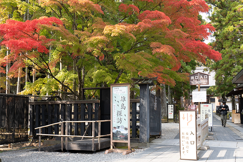 瑞巌寺　入口